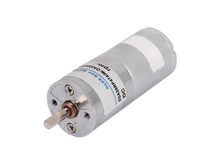 12V 300rpm Gear Motor